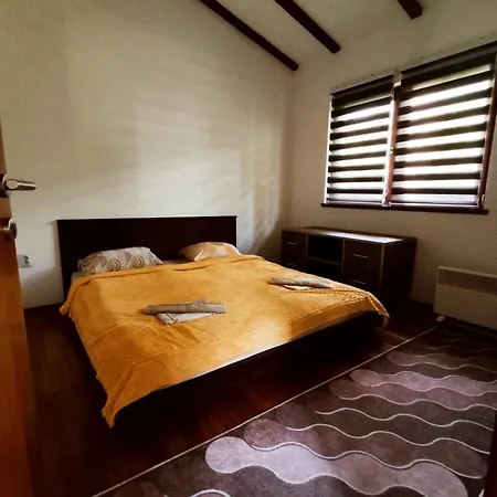 Dina Villa *